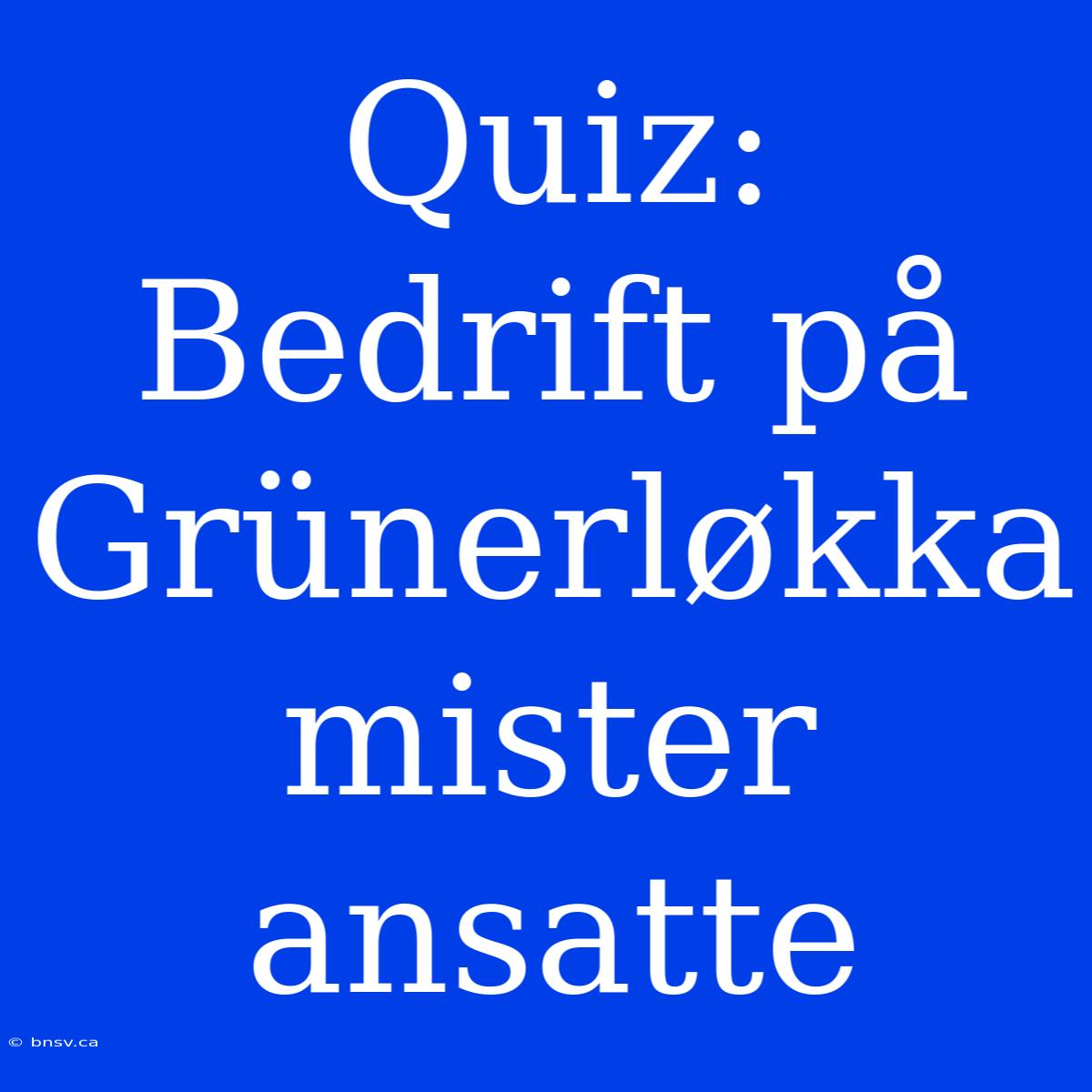 Quiz: Bedrift På Grünerløkka Mister Ansatte