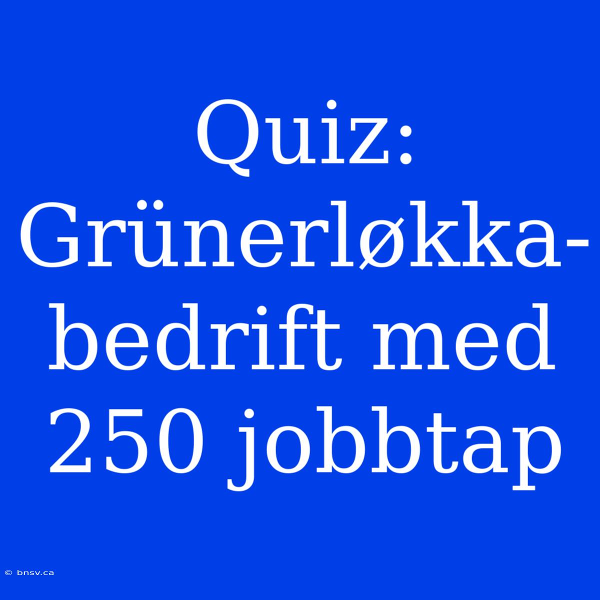 Quiz: Grünerløkka-bedrift Med 250 Jobbtap