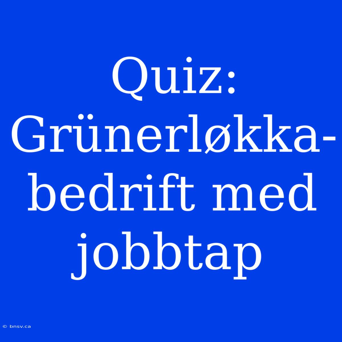 Quiz: Grünerløkka-bedrift Med Jobbtap