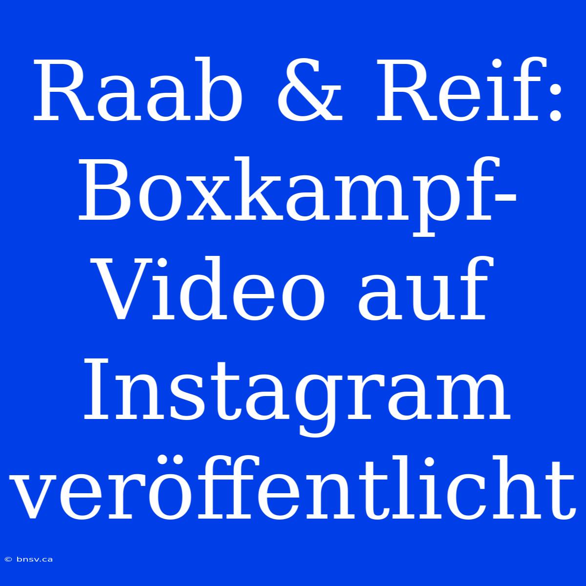 Raab & Reif: Boxkampf-Video Auf Instagram Veröffentlicht