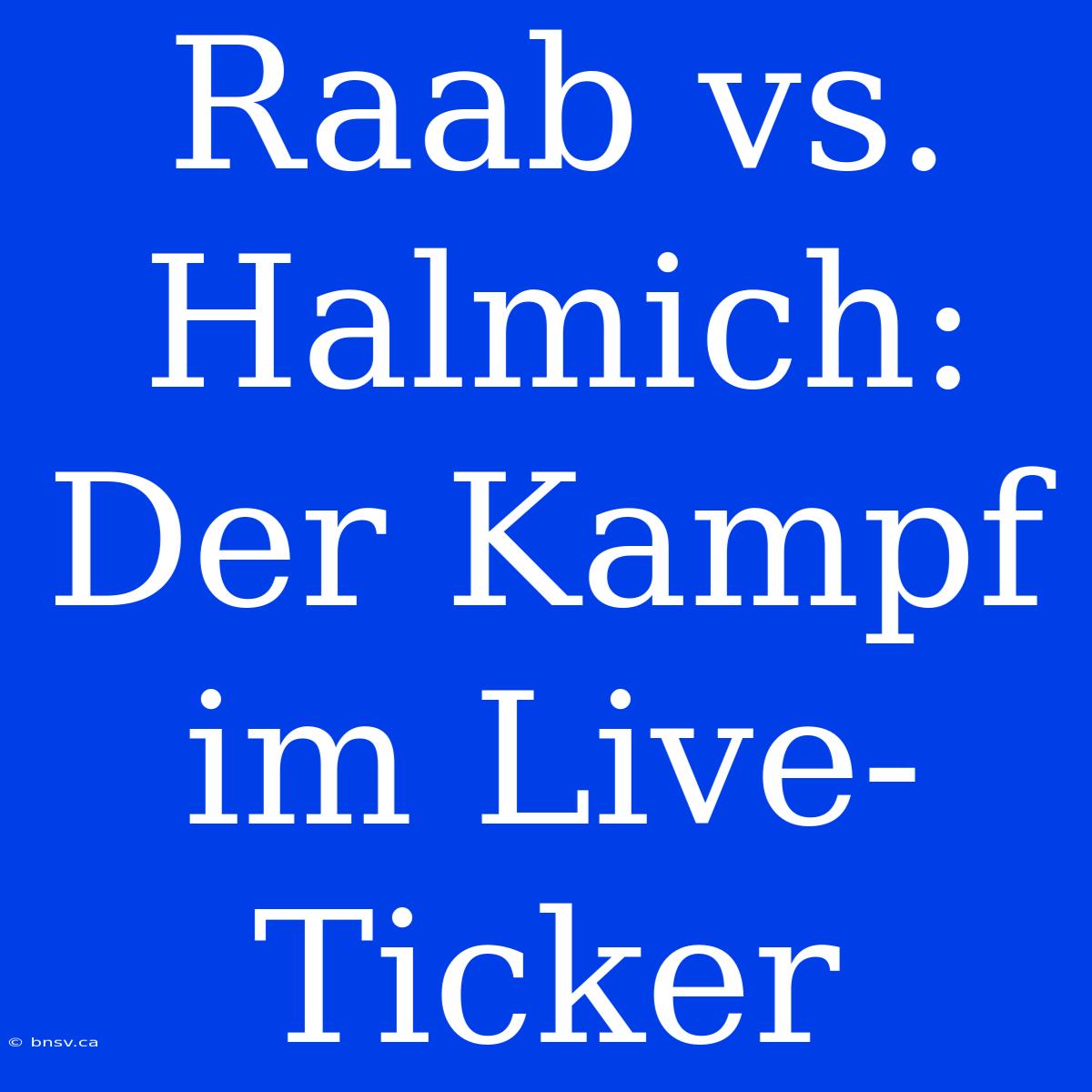 Raab Vs. Halmich: Der Kampf Im Live-Ticker