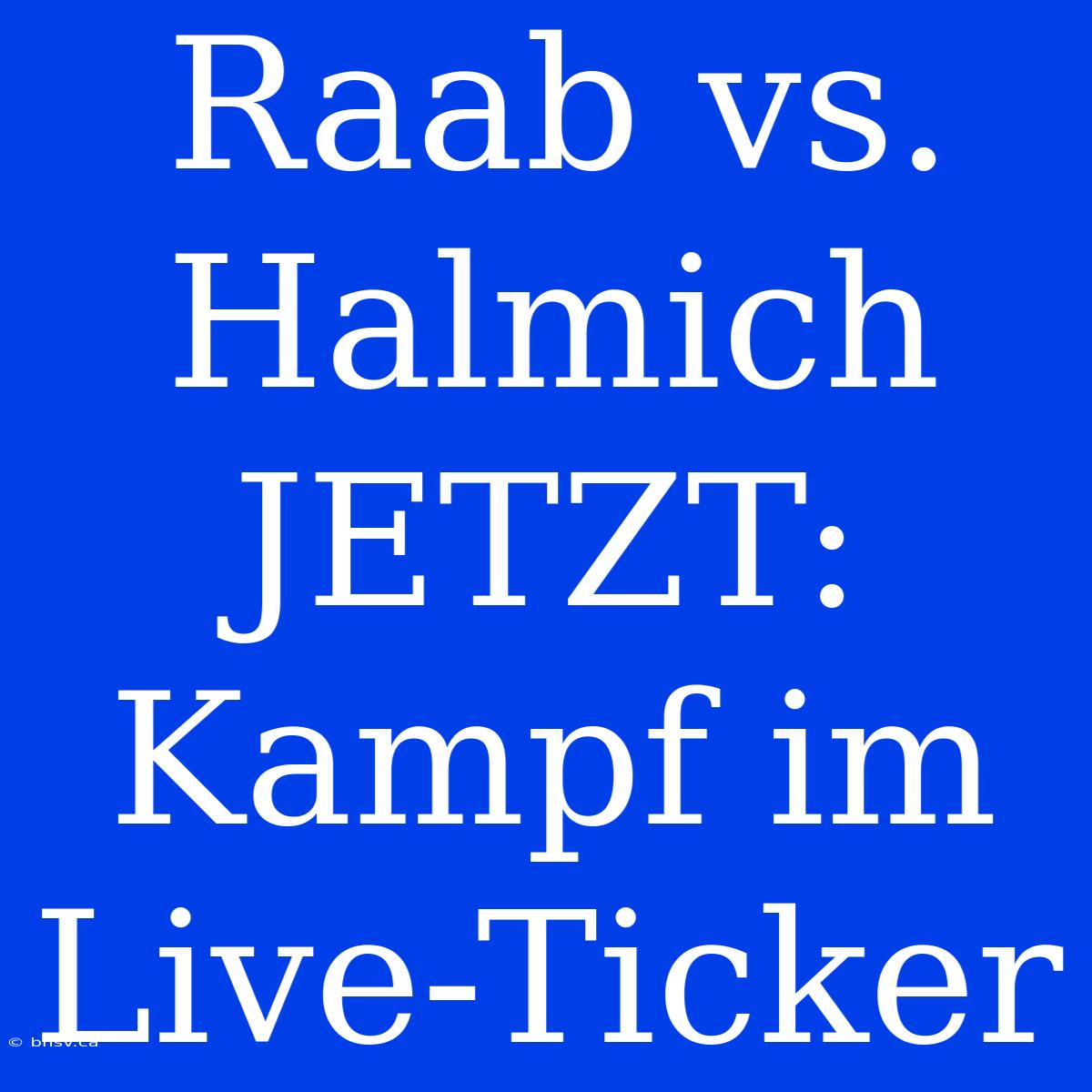 Raab Vs. Halmich JETZT: Kampf Im Live-Ticker