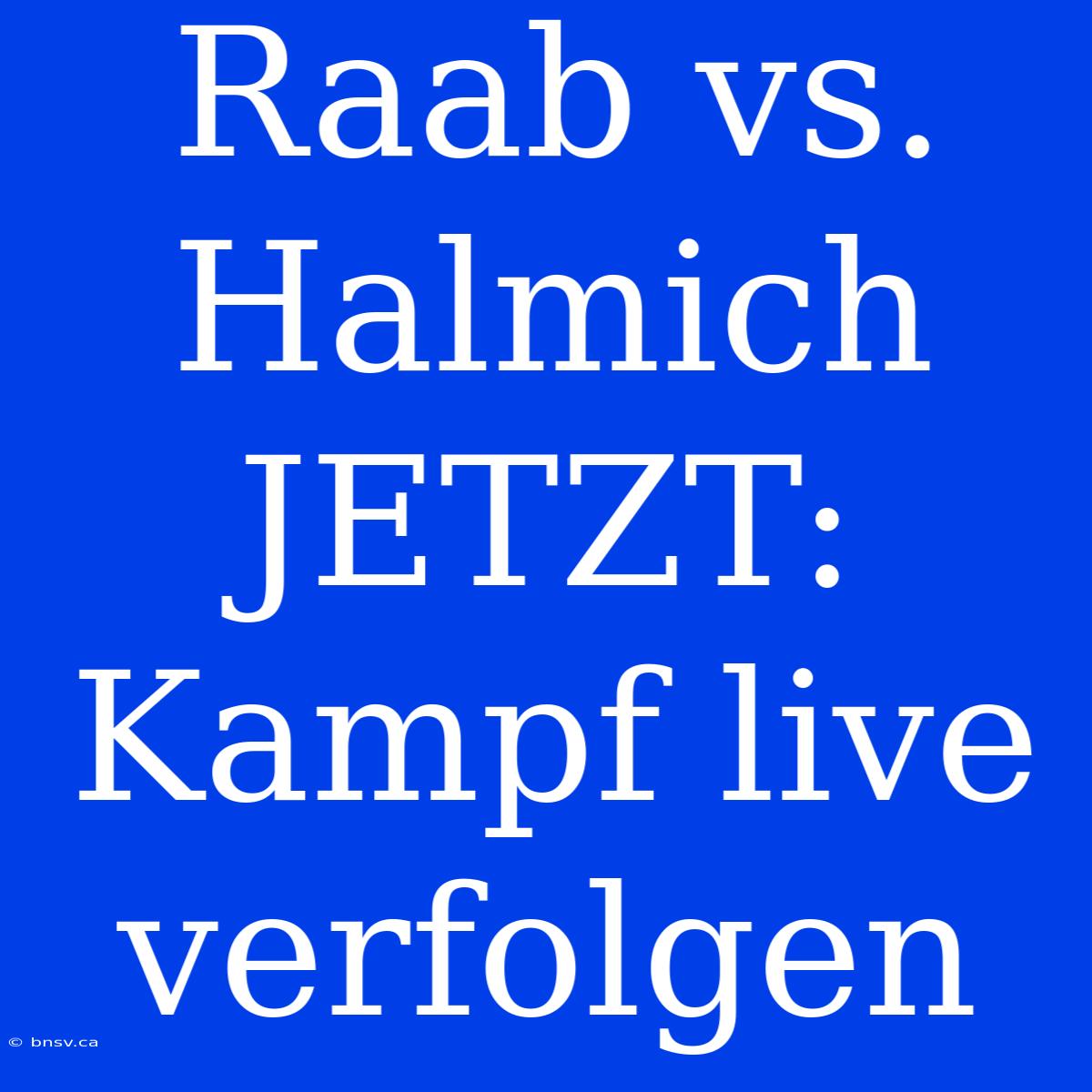 Raab Vs. Halmich JETZT: Kampf Live Verfolgen