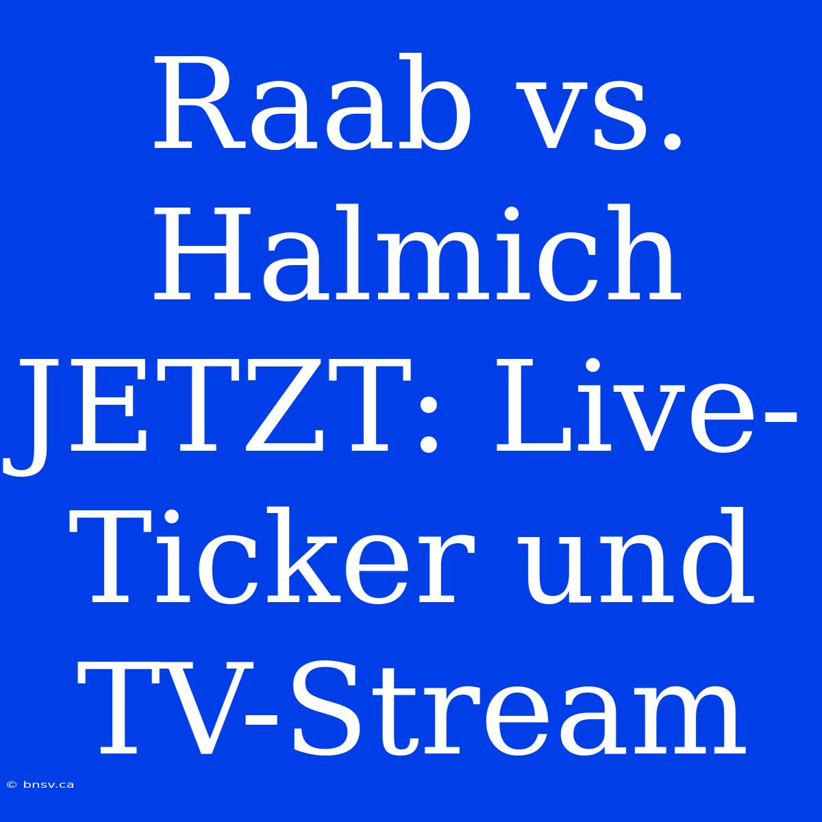 Raab Vs. Halmich JETZT: Live-Ticker Und TV-Stream