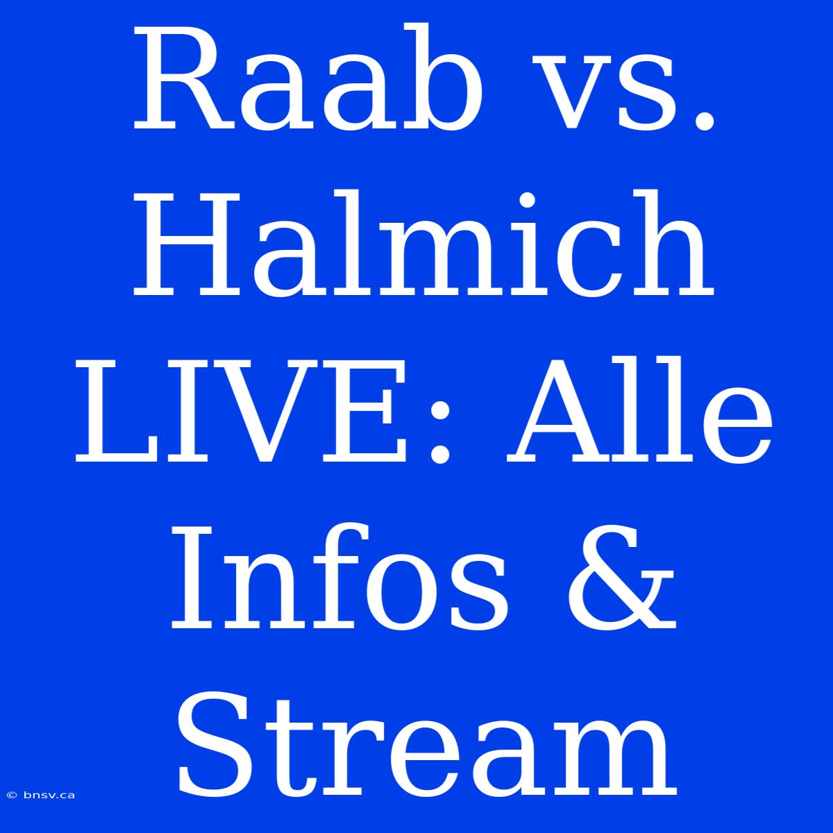 Raab Vs. Halmich LIVE: Alle Infos & Stream