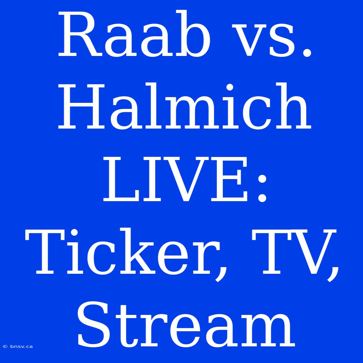 Raab Vs. Halmich LIVE: Ticker, TV, Stream