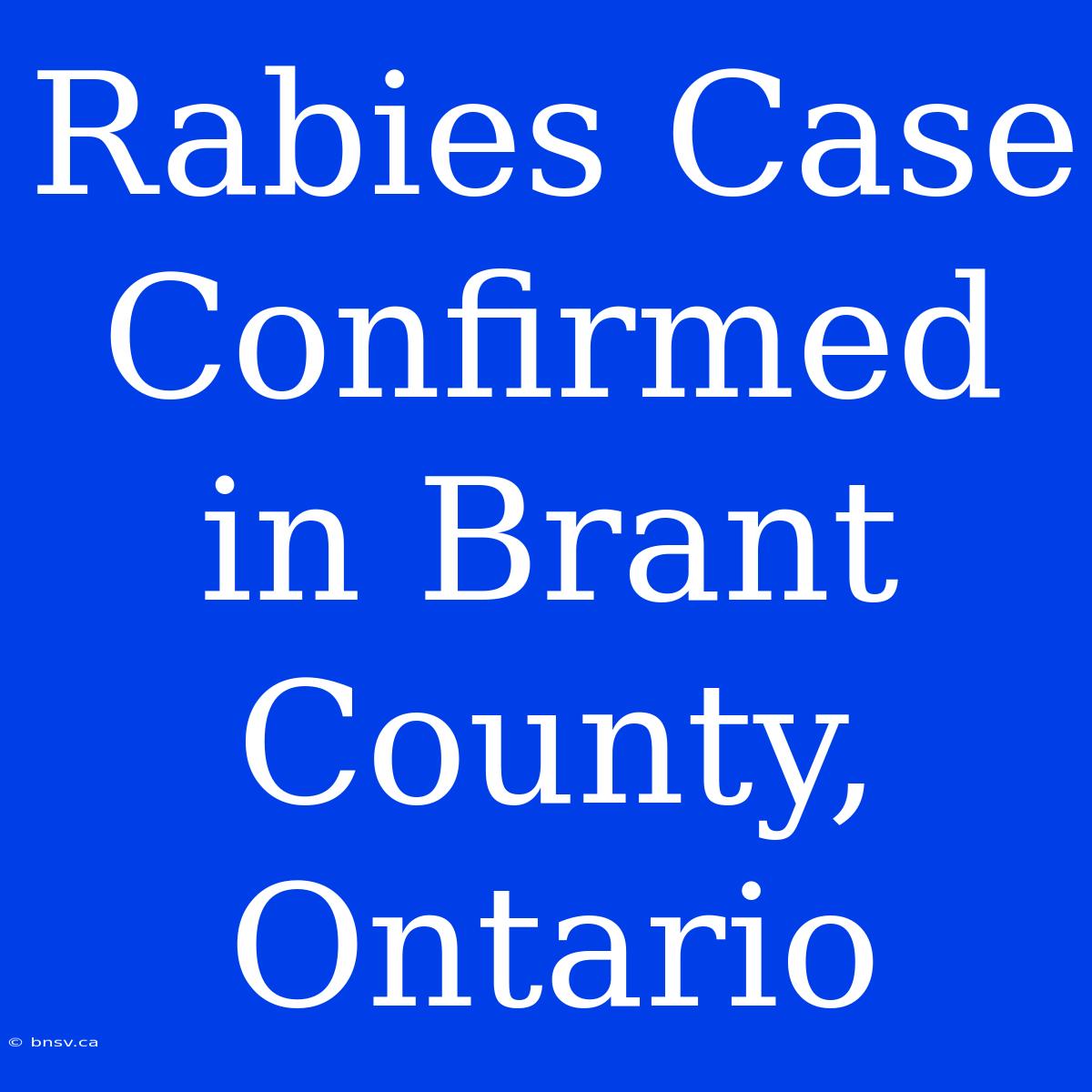 Rabies Case Confirmed In Brant County, Ontario