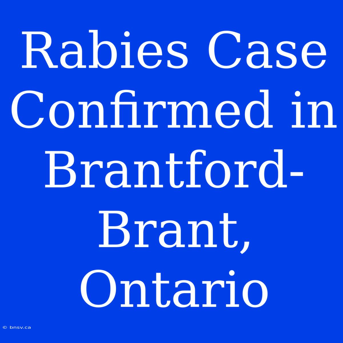 Rabies Case Confirmed In Brantford-Brant, Ontario