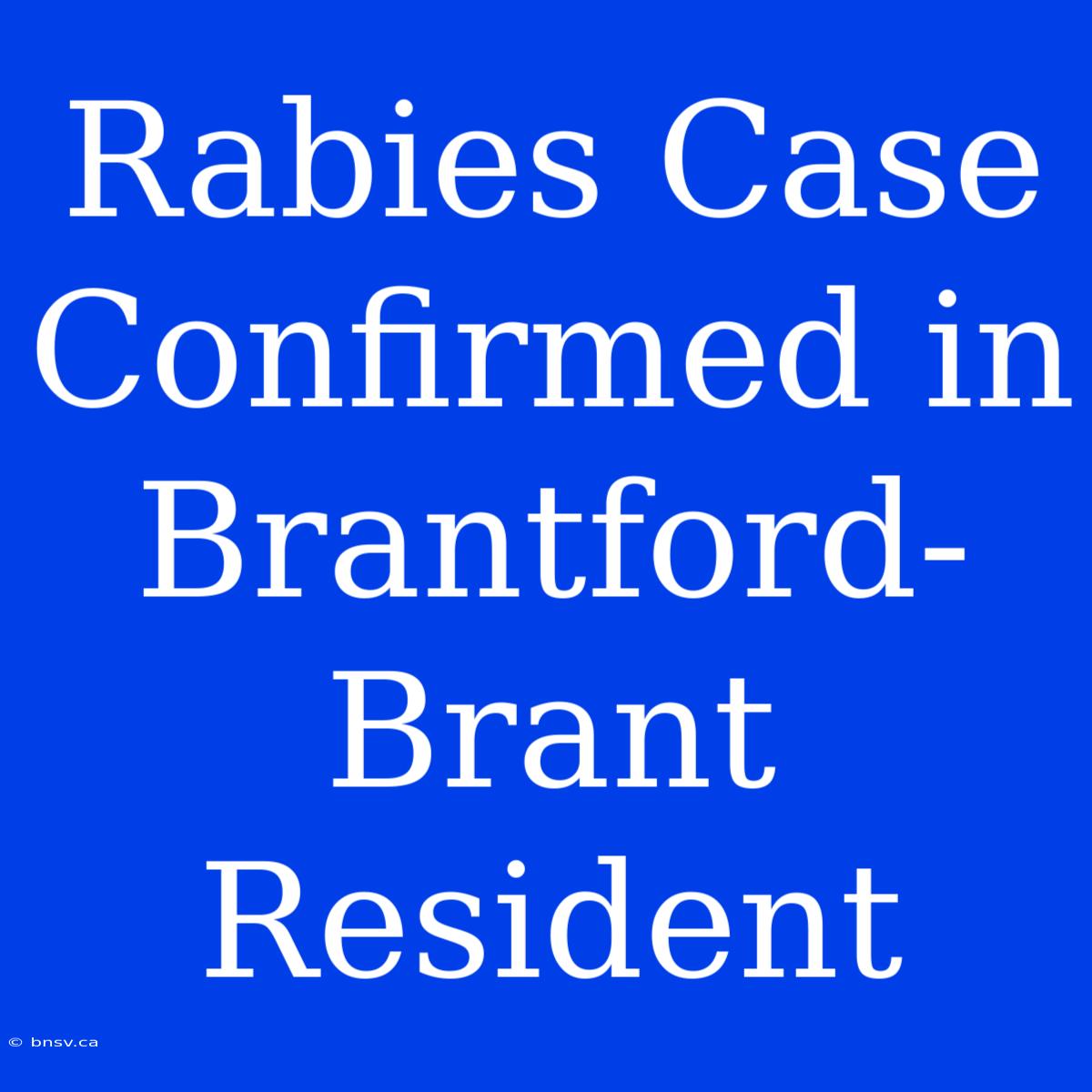 Rabies Case Confirmed In Brantford-Brant Resident