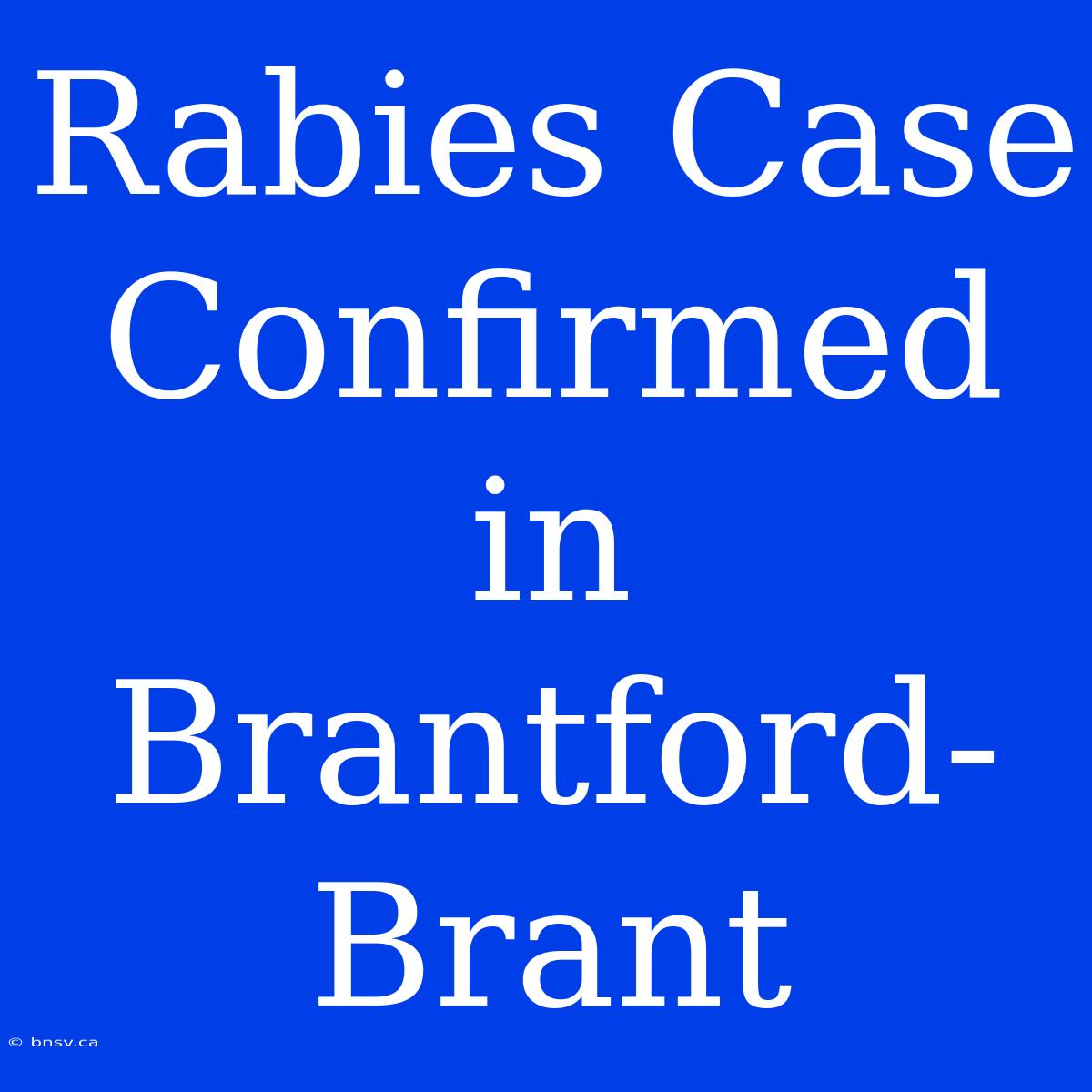 Rabies Case Confirmed In Brantford-Brant