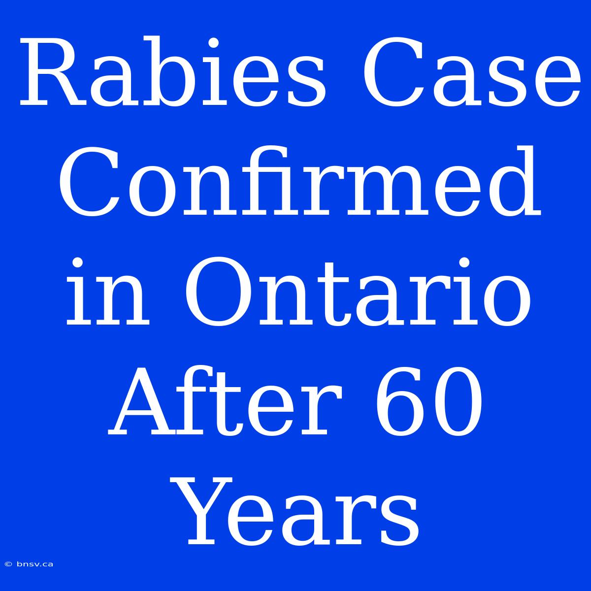 Rabies Case Confirmed In Ontario After 60 Years