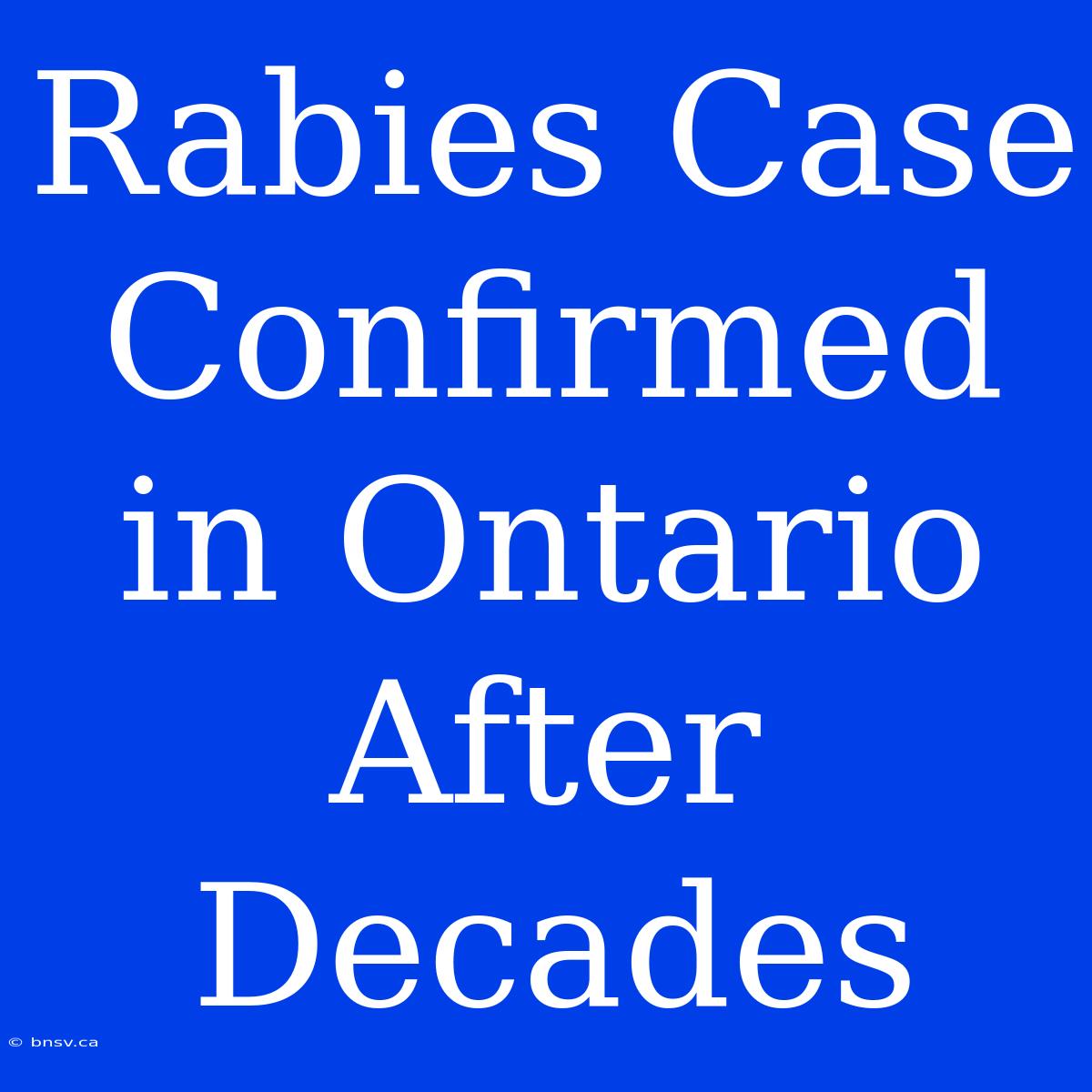 Rabies Case Confirmed In Ontario After Decades