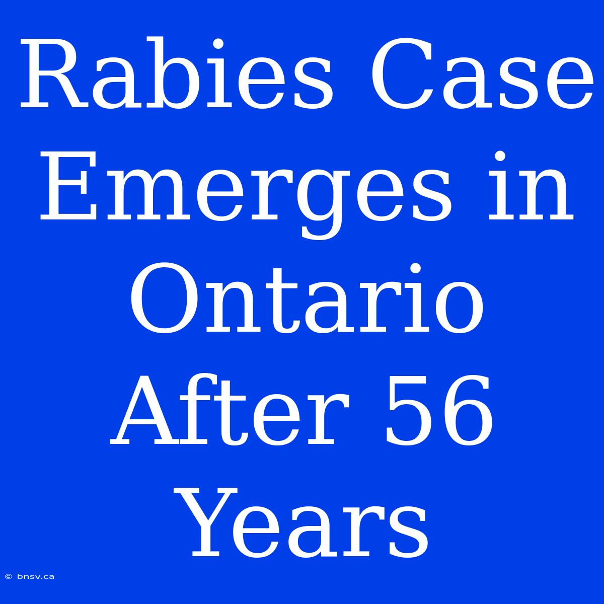 Rabies Case Emerges In Ontario After 56 Years