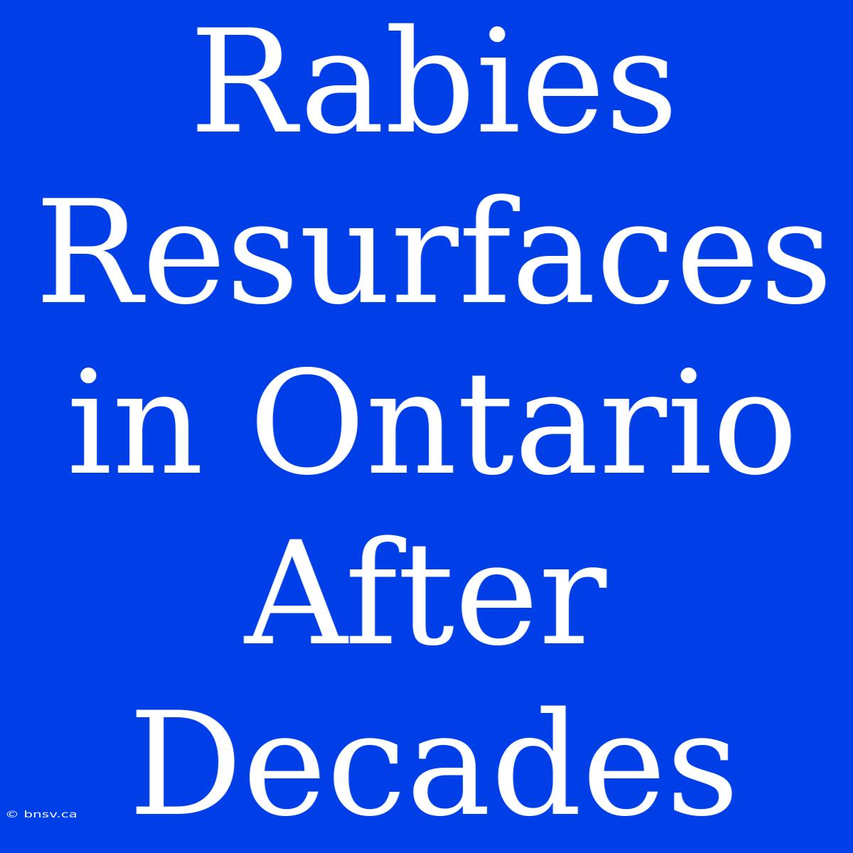 Rabies Resurfaces In Ontario After Decades