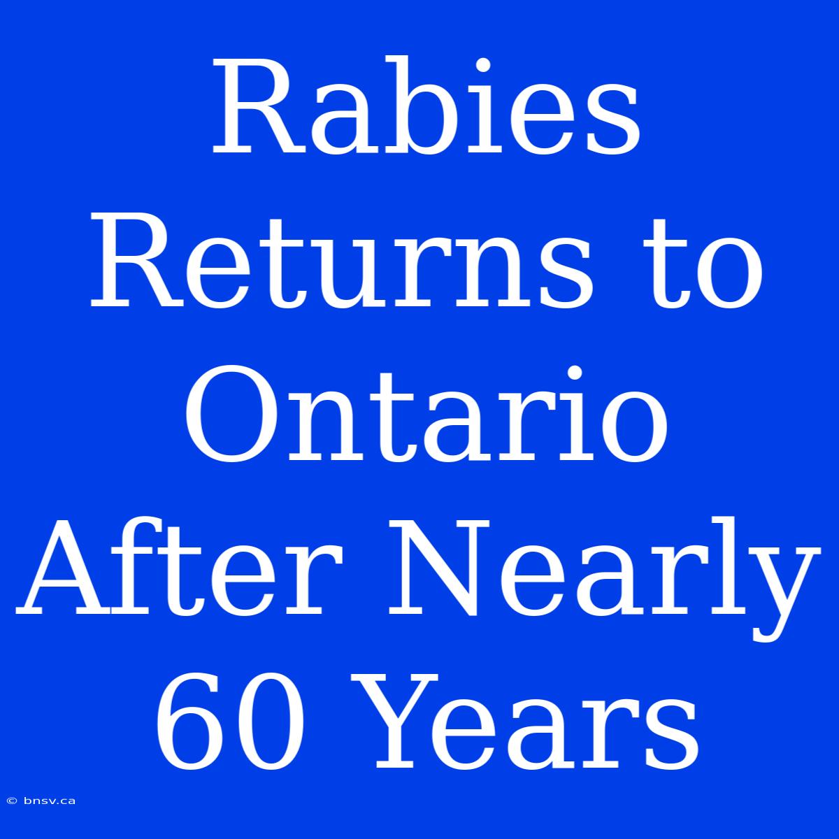 Rabies Returns To Ontario After Nearly 60 Years