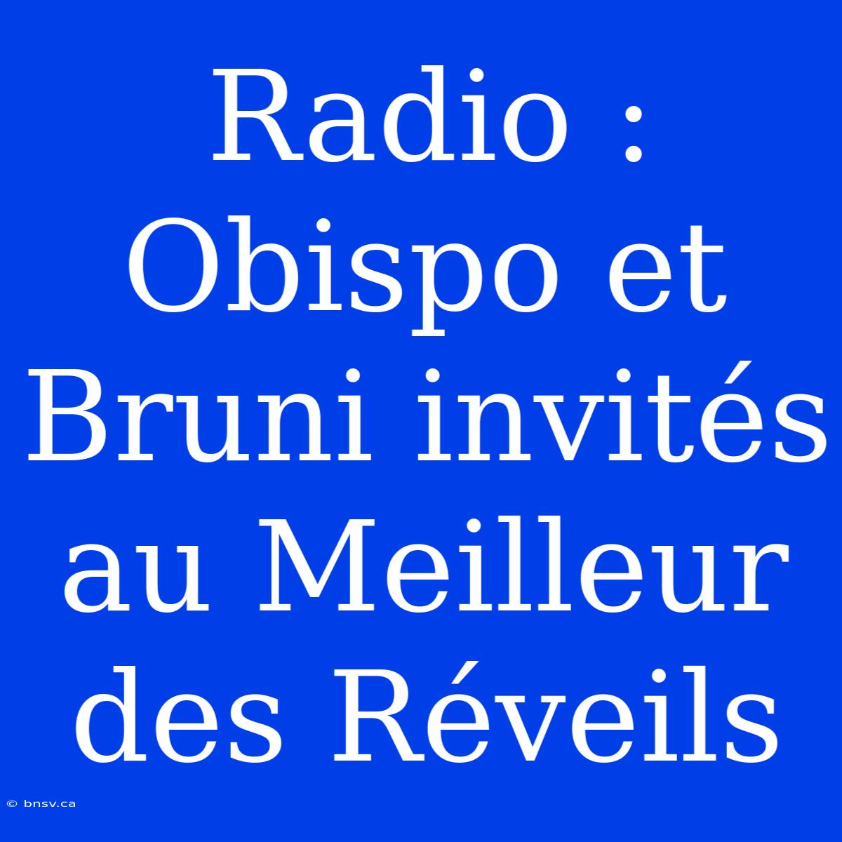 Radio : Obispo Et Bruni Invités Au Meilleur Des Réveils