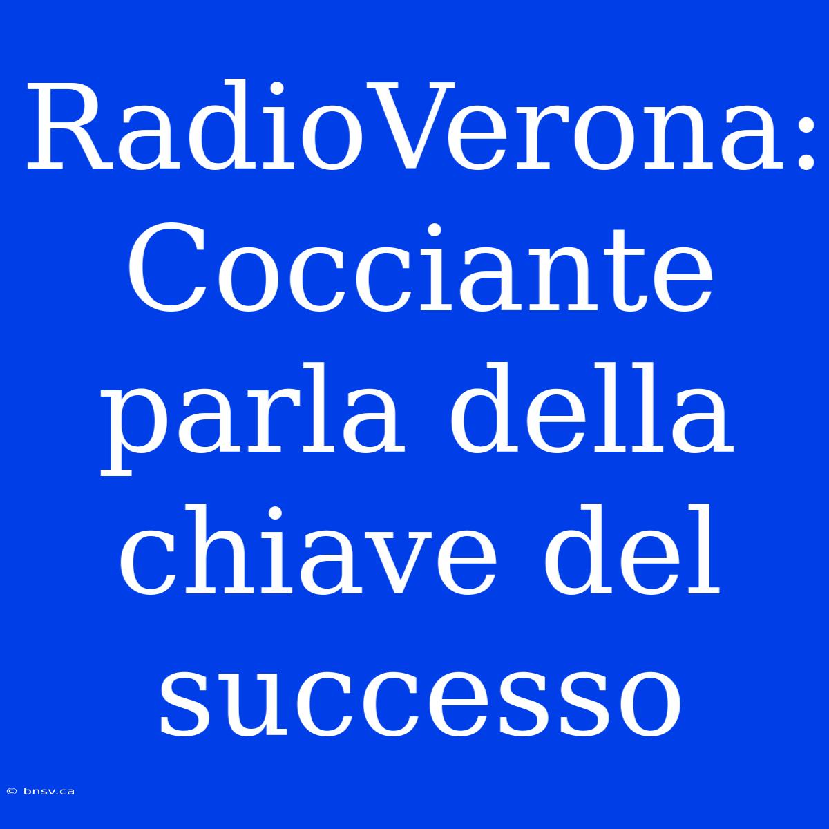 RadioVerona: Cocciante Parla Della Chiave Del Successo