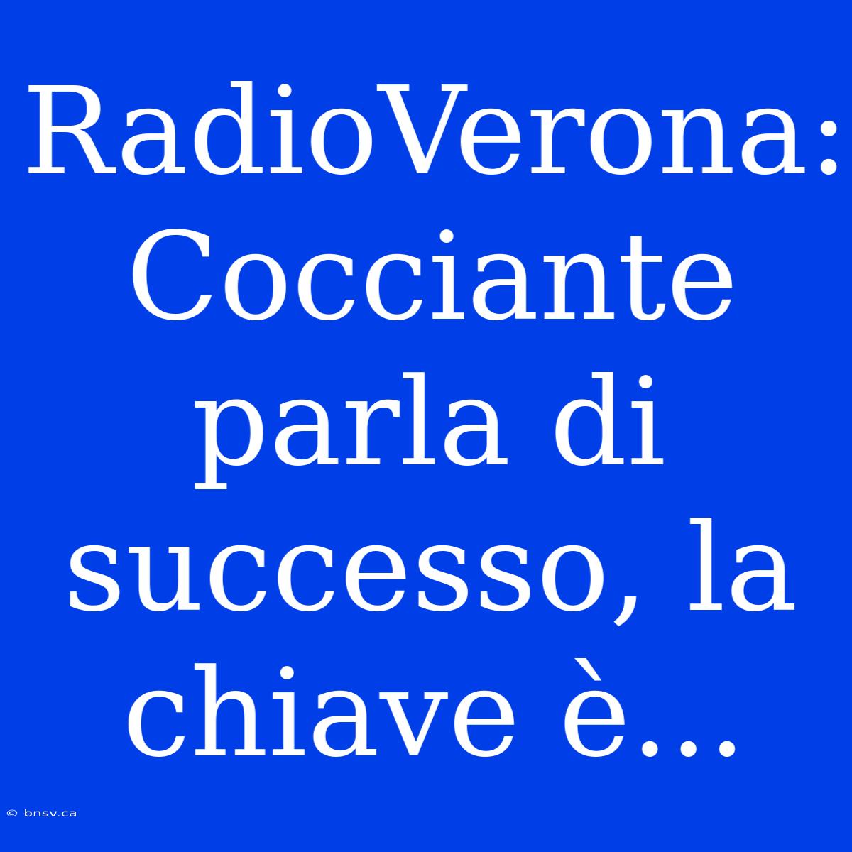 RadioVerona: Cocciante Parla Di Successo, La Chiave È...