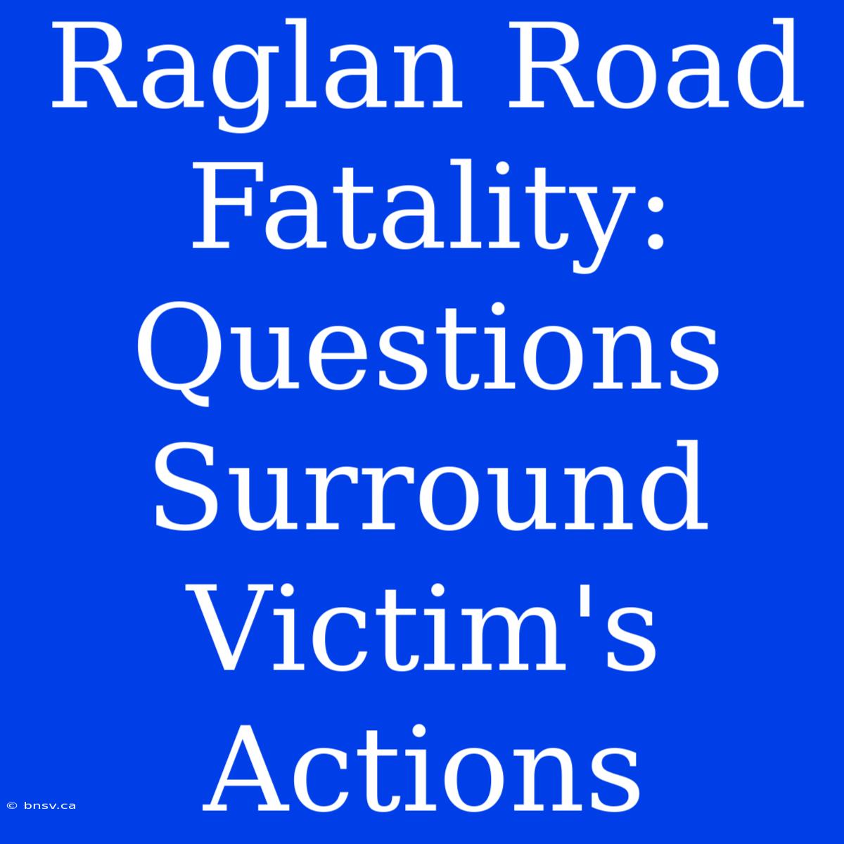 Raglan Road Fatality: Questions Surround Victim's Actions