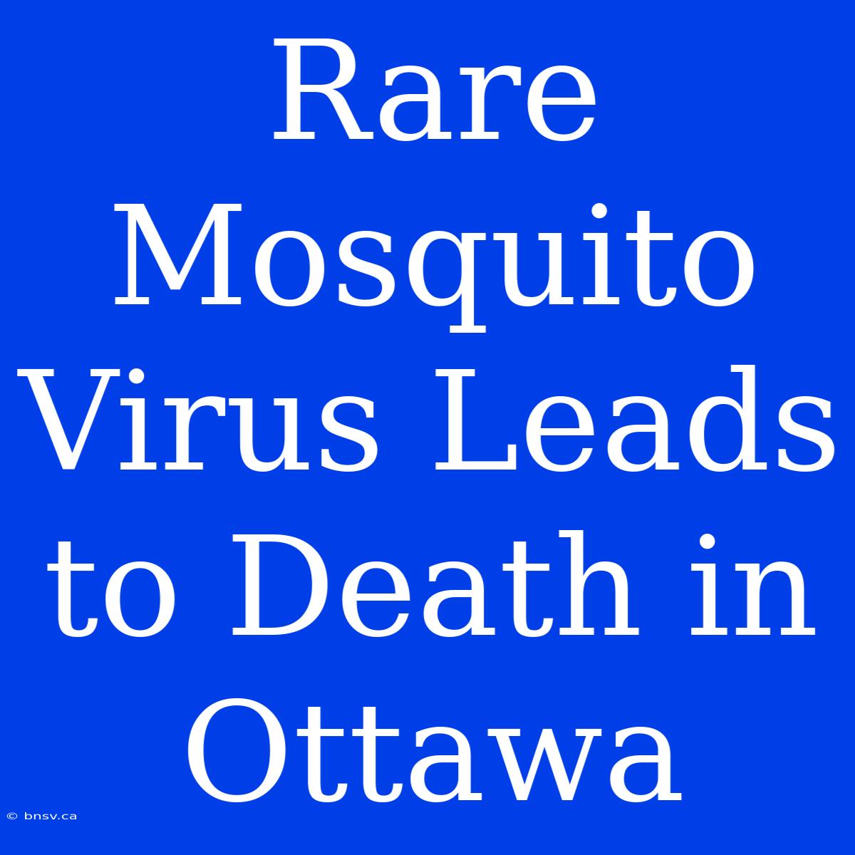 Rare Mosquito Virus Leads To Death In Ottawa