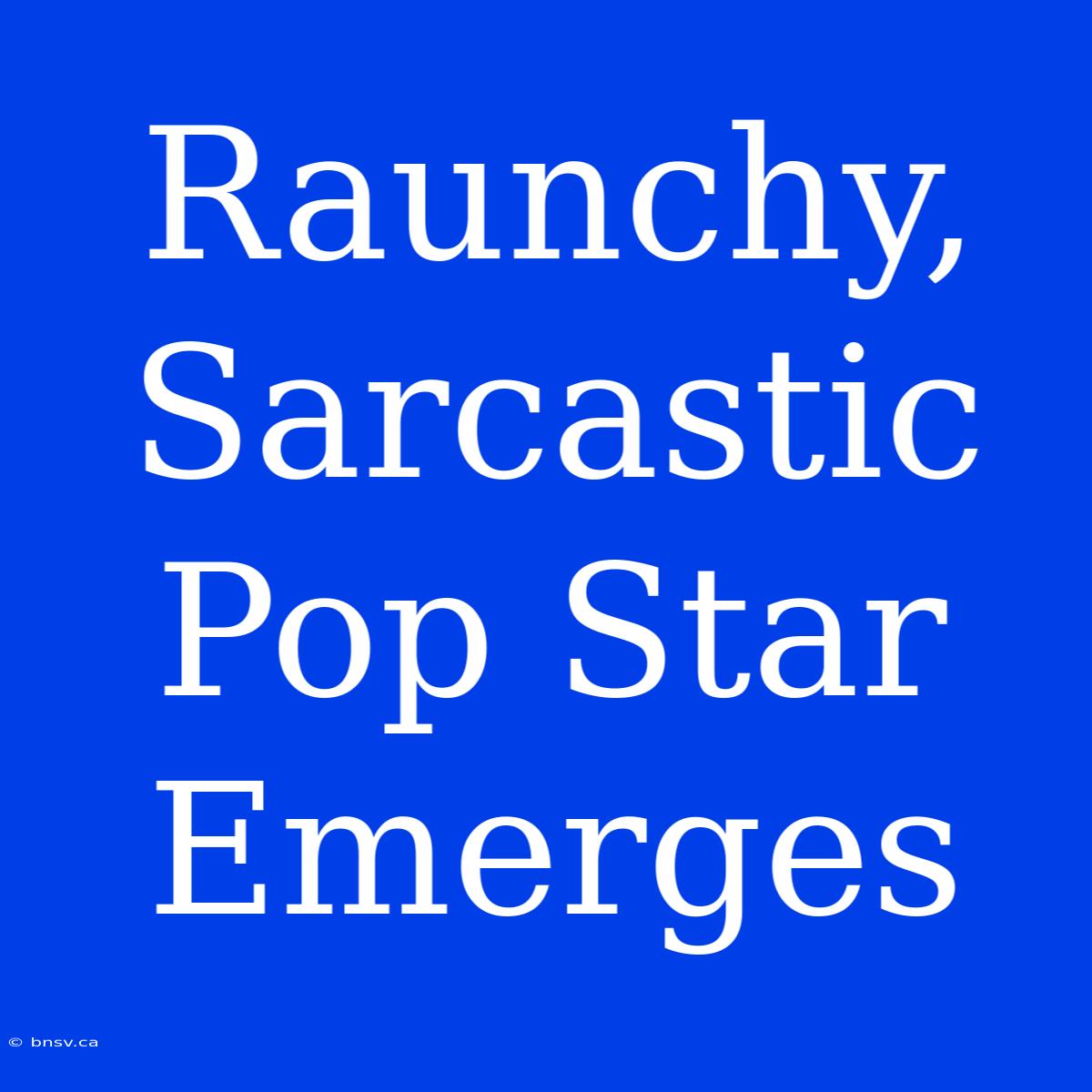 Raunchy, Sarcastic Pop Star Emerges