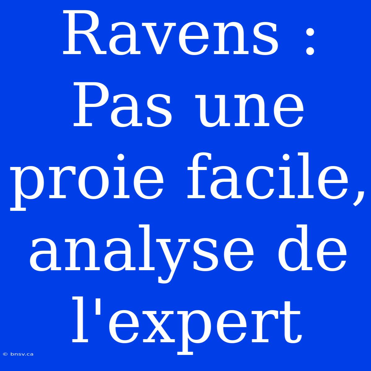 Ravens : Pas Une Proie Facile, Analyse De L'expert