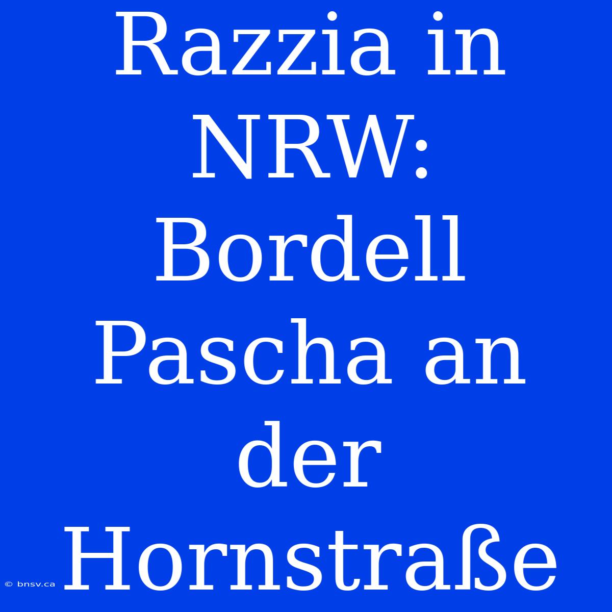 Razzia In NRW: Bordell Pascha An Der Hornstraße