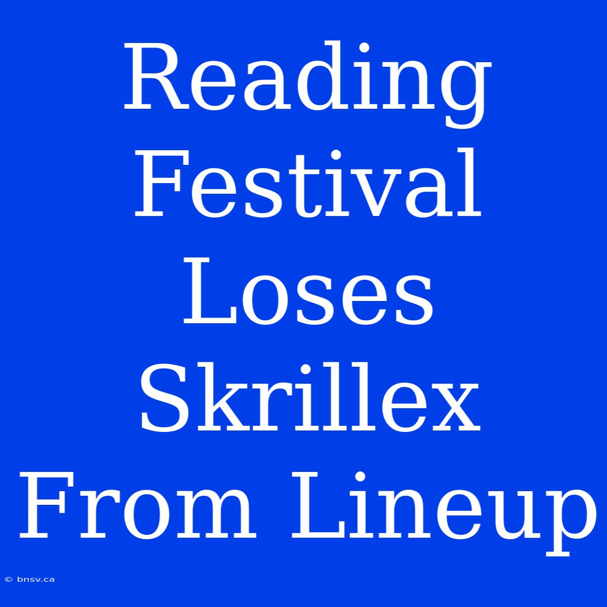 Reading Festival Loses Skrillex From Lineup