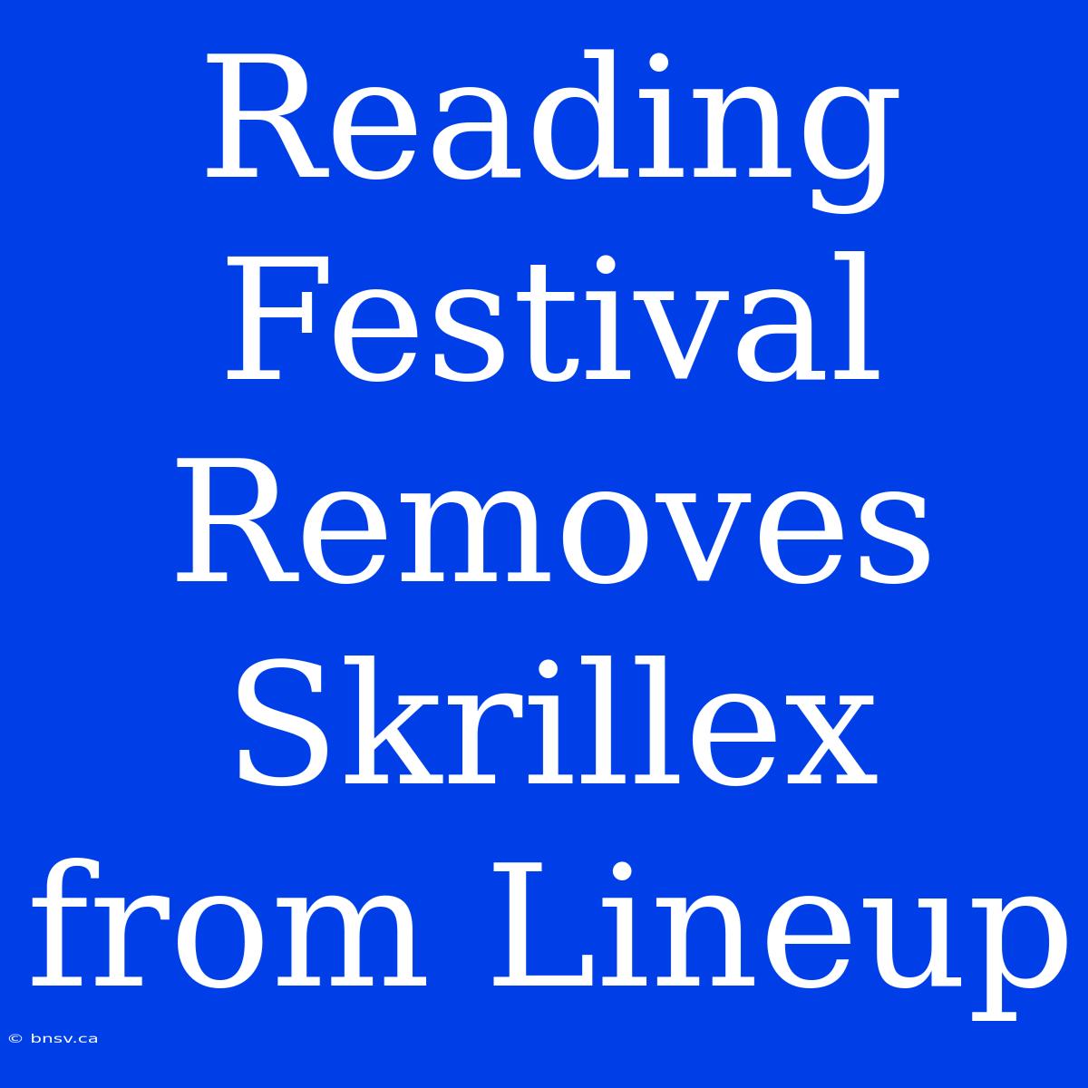 Reading Festival Removes Skrillex From Lineup