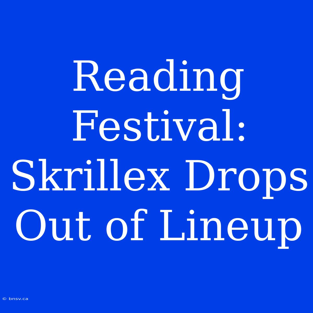 Reading Festival: Skrillex Drops Out Of Lineup