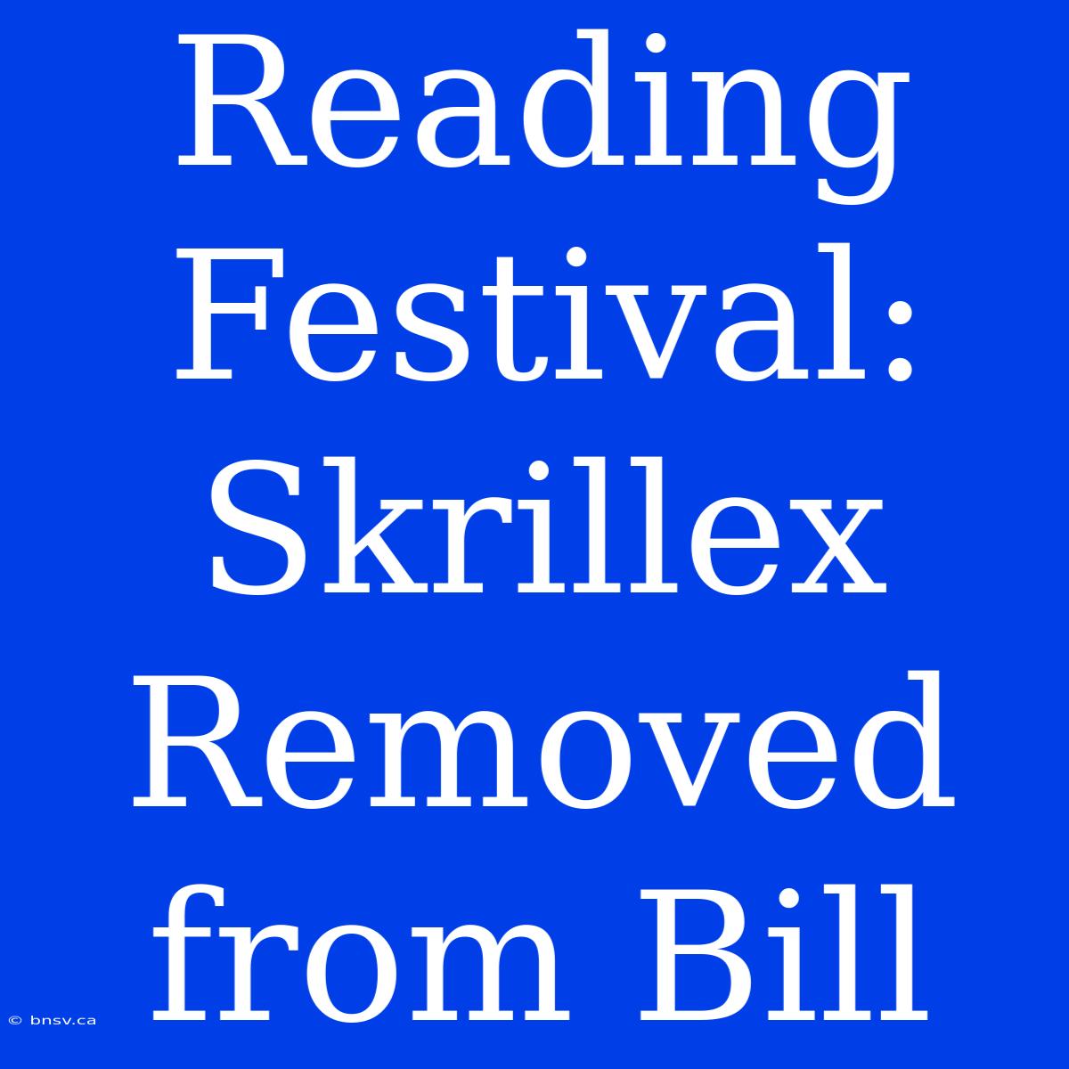 Reading Festival: Skrillex Removed From Bill