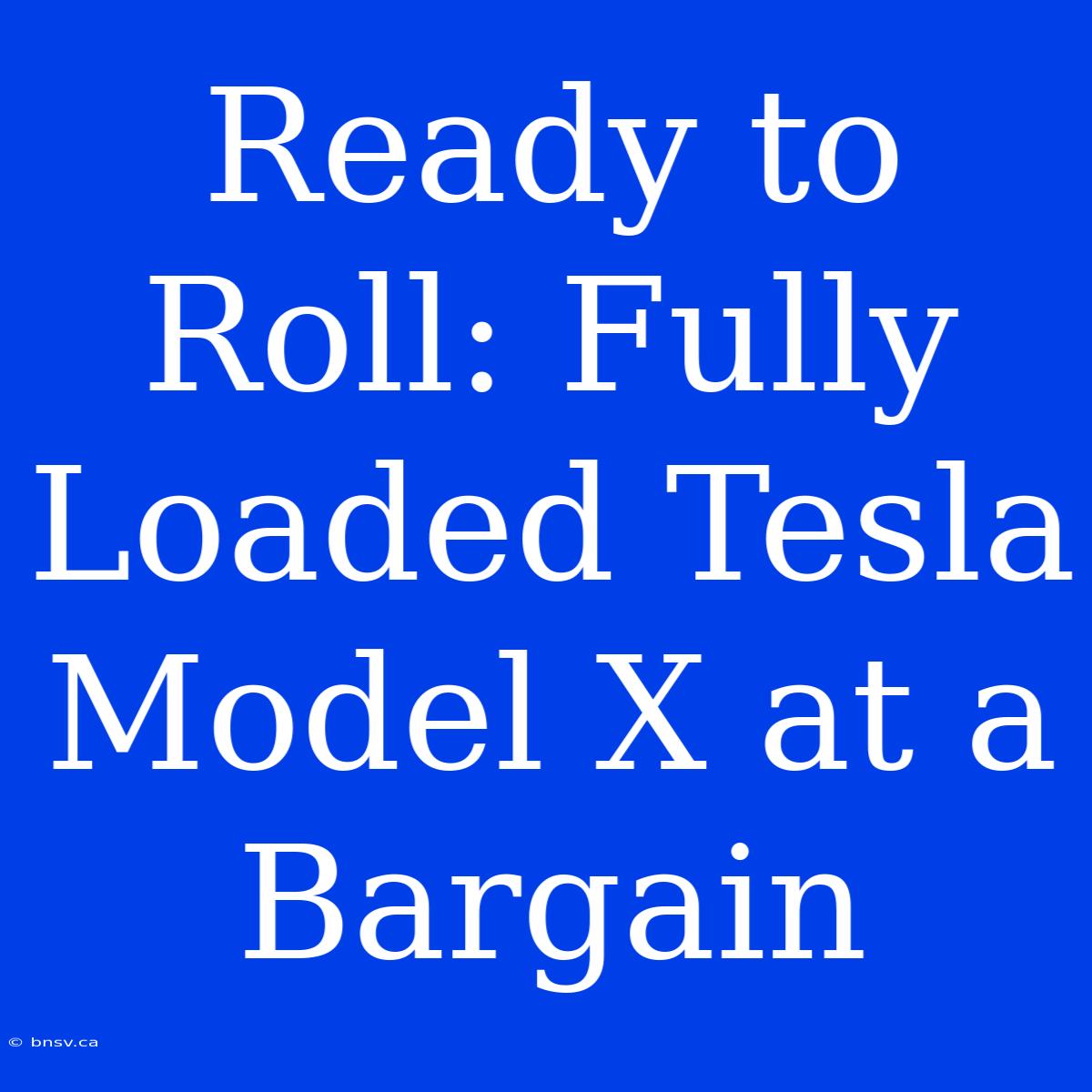 Ready To Roll: Fully Loaded Tesla Model X At A Bargain