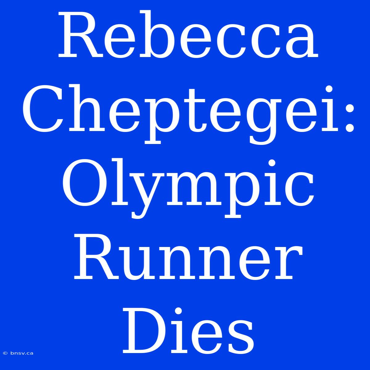 Rebecca Cheptegei: Olympic Runner Dies