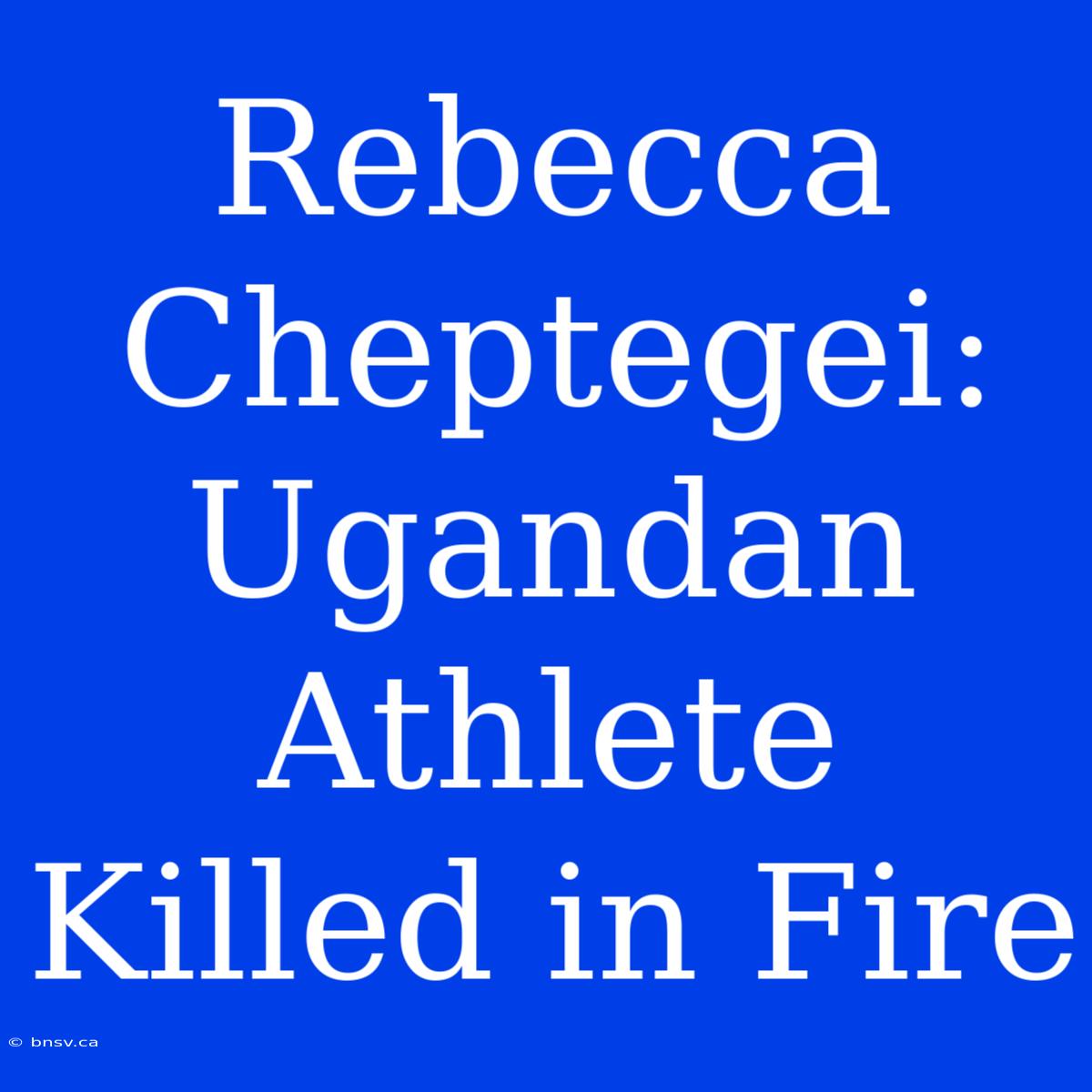 Rebecca Cheptegei: Ugandan Athlete Killed In Fire