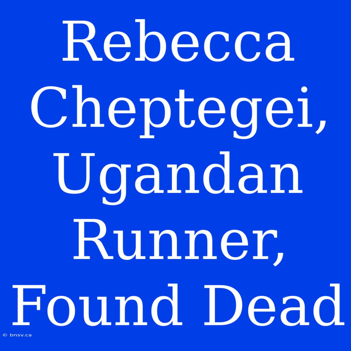 Rebecca Cheptegei, Ugandan Runner, Found Dead