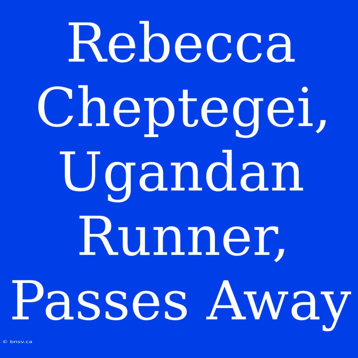 Rebecca Cheptegei, Ugandan Runner, Passes Away