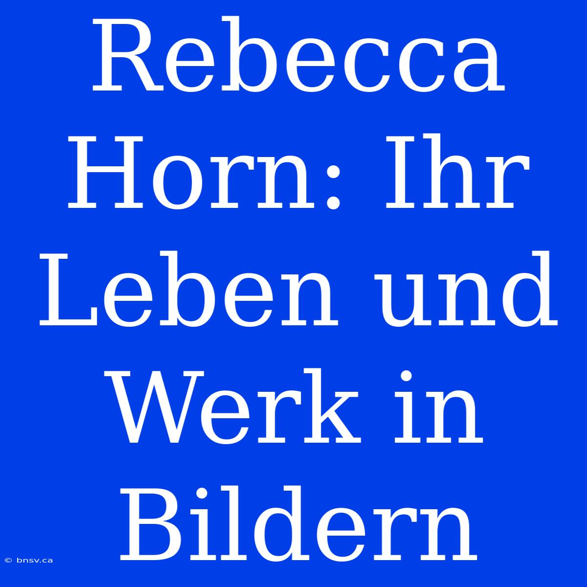 Rebecca Horn: Ihr Leben Und Werk In Bildern