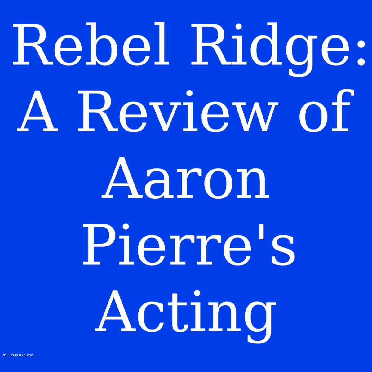 Rebel Ridge: A Review Of Aaron Pierre's Acting