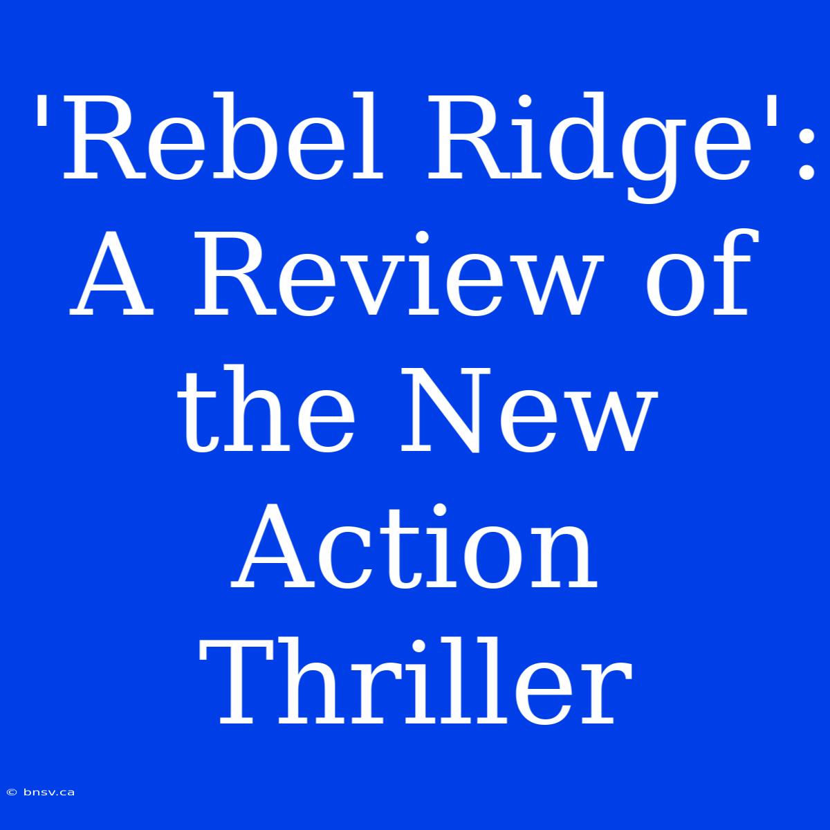 'Rebel Ridge':  A Review Of The New Action Thriller