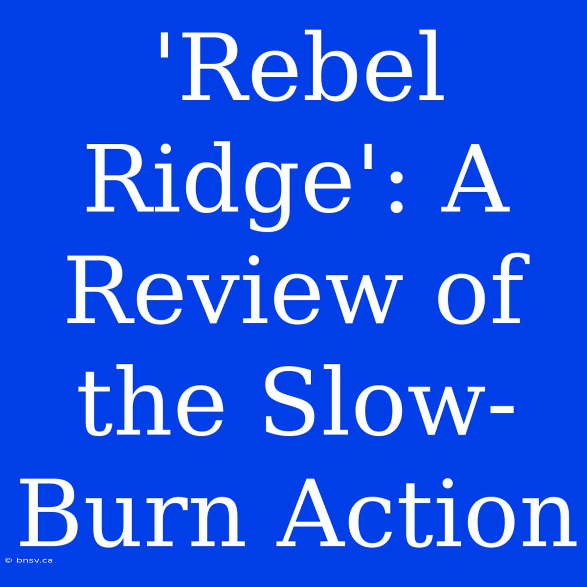 'Rebel Ridge': A Review Of The Slow-Burn Action