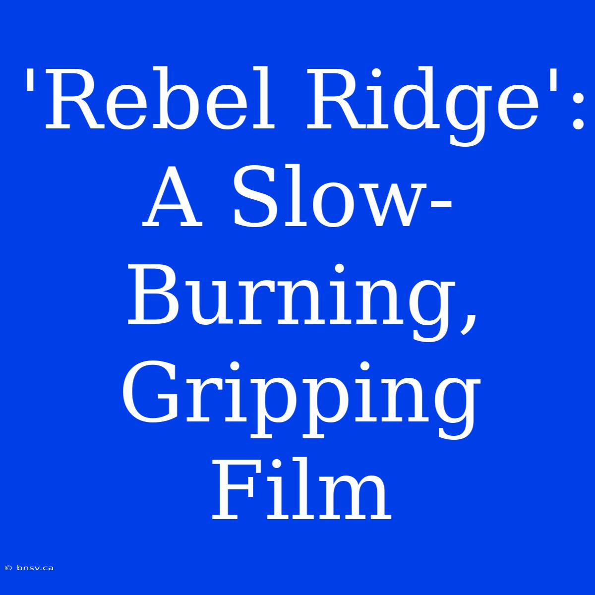 'Rebel Ridge':  A Slow-Burning, Gripping Film