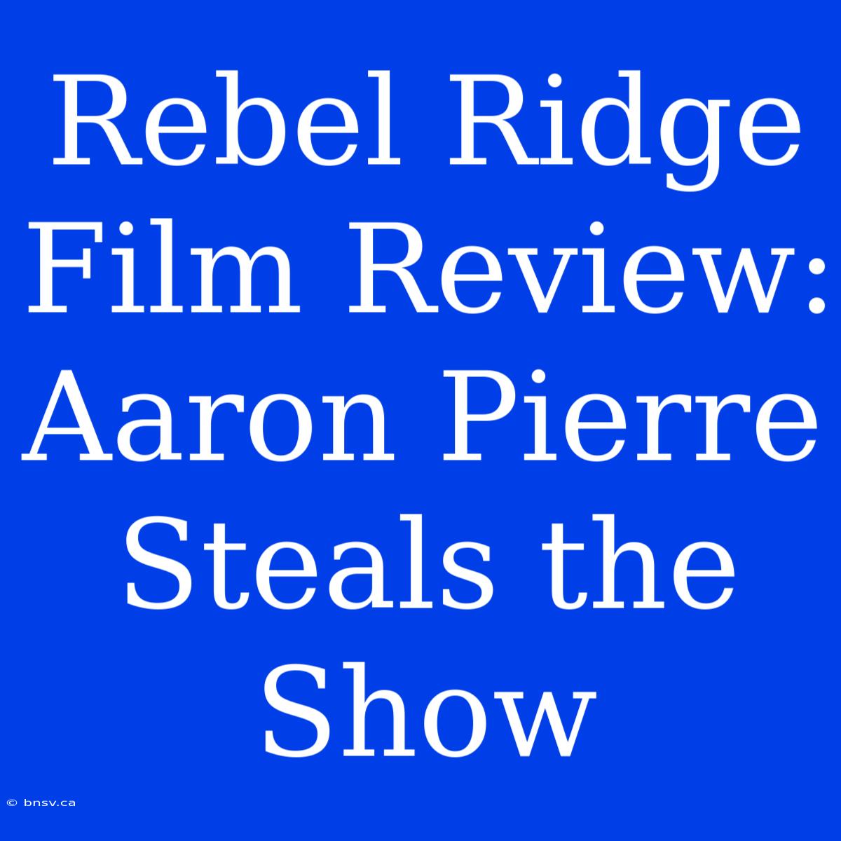 Rebel Ridge Film Review: Aaron Pierre Steals The Show