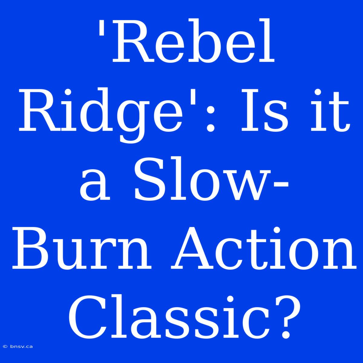 'Rebel Ridge': Is It A Slow-Burn Action Classic?