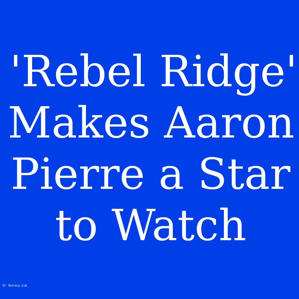 'Rebel Ridge' Makes Aaron Pierre A Star To Watch