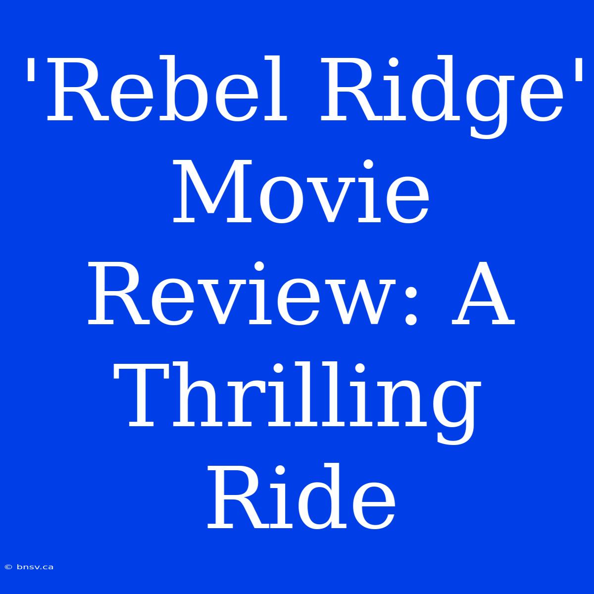 'Rebel Ridge' Movie Review: A Thrilling Ride