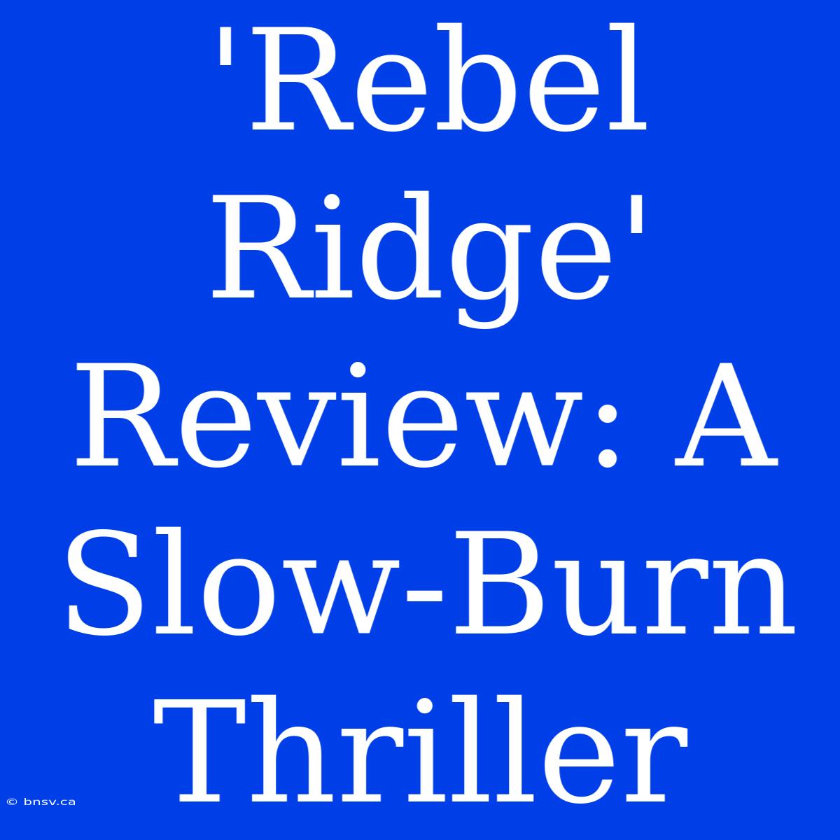 'Rebel Ridge' Review: A Slow-Burn Thriller