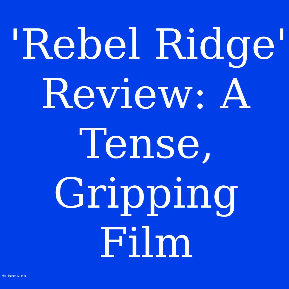 'Rebel Ridge' Review: A Tense, Gripping Film