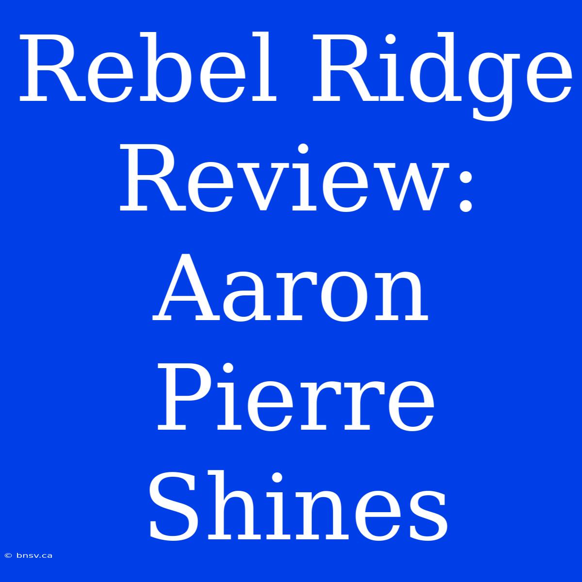 Rebel Ridge Review: Aaron Pierre Shines