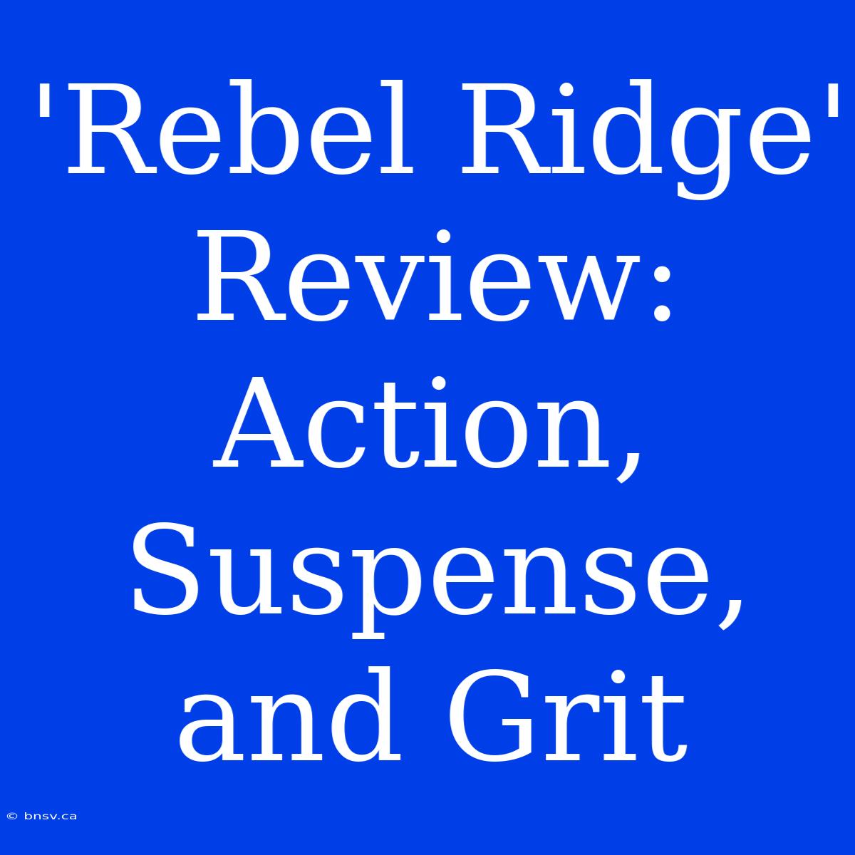 'Rebel Ridge' Review: Action, Suspense, And Grit