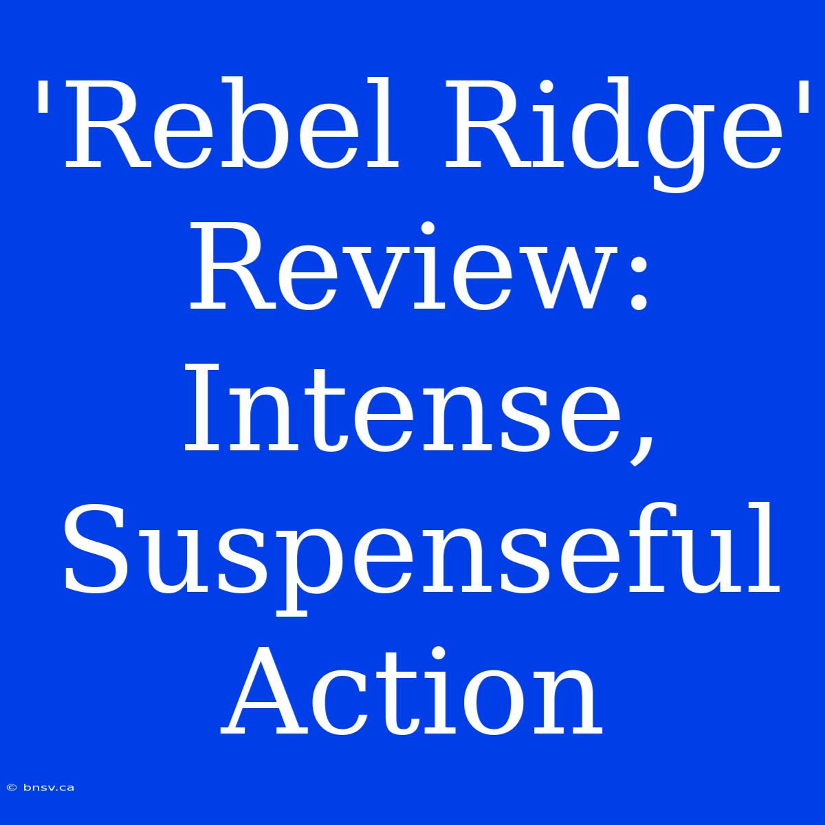 'Rebel Ridge' Review:  Intense, Suspenseful Action